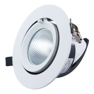 Reflektor LED punktowy regulowany, podtynkowy, 20 W, 1600 lm, 4000 K, biały, X-LINE DPM