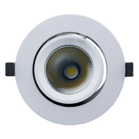 Reflektor LED punktowy regulowany, podtynkowy, 20 W, 1600 lm, 4000 K, biały, X-LINE DPM