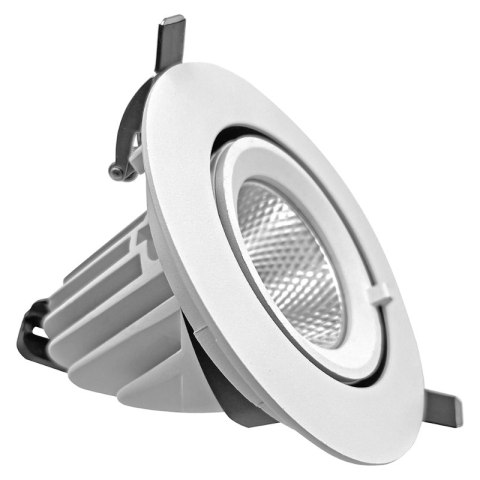 Reflektor LED punktowy regulowany, podtynkowy, 20 W, 1600 lm, 4000 K, biały, X-LINE DPM