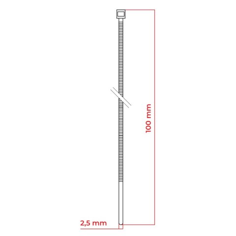 Opaski zaciskowe, 2,5 x 100 mm, 100 szt., białe DPM