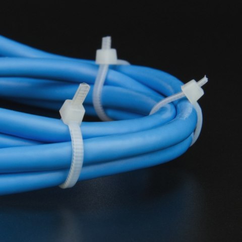 Opaski zaciskowe, 2,5 x 100 mm, 25 szt., białe DPM