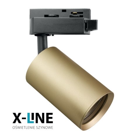 Reflektor szynowy GU10, złoty, X-LINE DPM