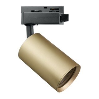 Reflektor szynowy GU10, złoty, X-LINE DPM