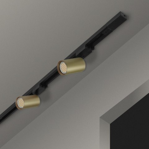 Reflektor szynowy GU10, złoty, X-LINE DPM