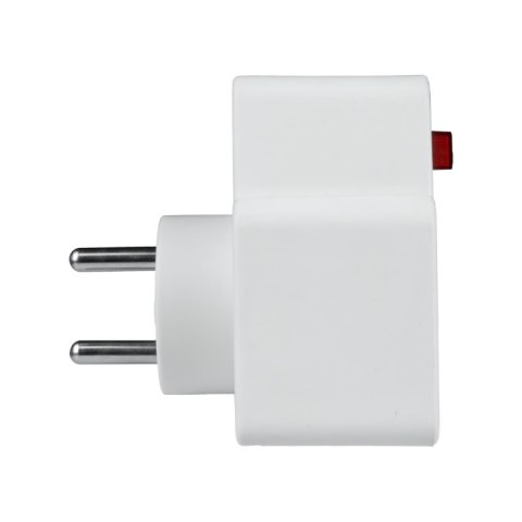 Rozgałęźnik elektryczny z włącznikiem, 2 gniazda z uziemieniem, 2 x USB, biało-szary DPM