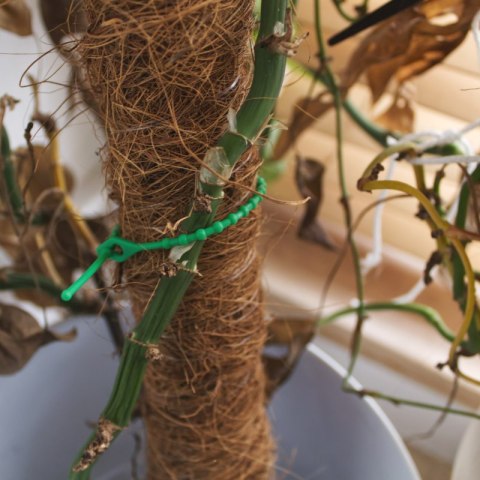 Opaski koralikowe wielokrotnego użytku, 2 x 120 mm, 50 szt., zielone