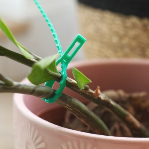 Opaski zaciskowe wieloktornego użytku, 8 x 170 mm, 50 szt., zielone