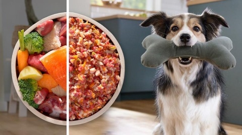 Maszynka do mięsa Bosch Serie 6 MFWS607W