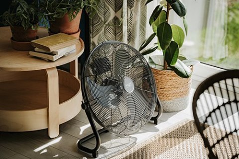 Adler Cyrkulator podłogowy 45 cm