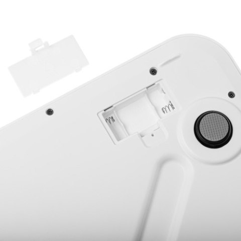 Adler Waga łazienkowa - 250kg