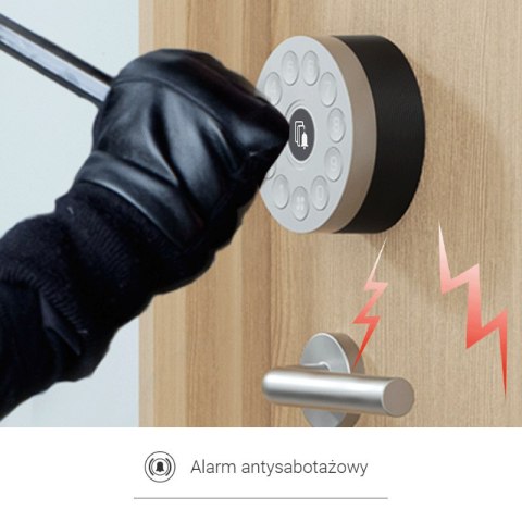 Inteligentny zamek, DL01S, EZVIZ EZVIZ