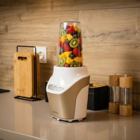 Camry Blender personalny - POWERFUL NUTRI