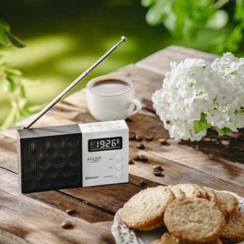 Adler Radio cyfrowe PLL FM