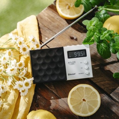 Adler Radio cyfrowe PLL FM