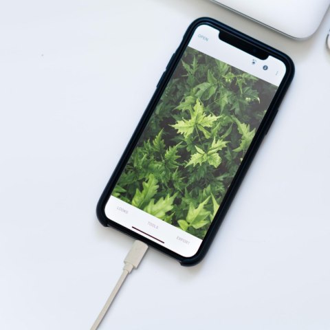 Przewód USB A - Lightning MFI, biodegradowalny, 1 m DPM