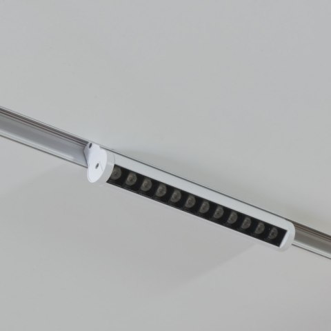 Reflektor szynowy magnetyczny liniowy, regulowany, 12 W, 960 lm, 4000 K, biały, M-LINE DPM