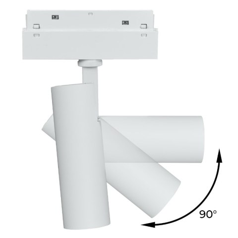 Reflektor szynowy magnetyczny, 10 W, 800 lm, 4000 K, biały, M-LINE DPM
