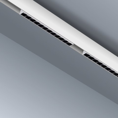 Reflektor szynowy magnetyczny liniowy, 12 W,960 lm, 4000 K, biały, M-LINE DPM