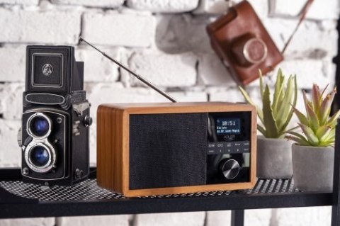 Adler Radio Dab + Bluetooth
