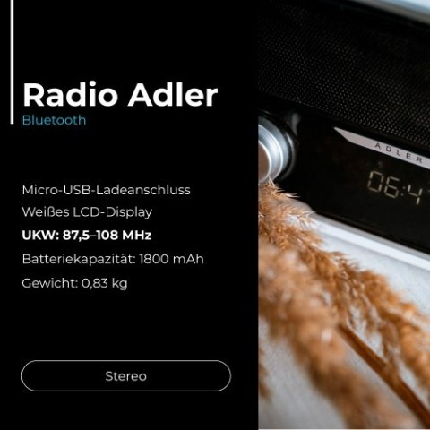 Adler Radio Bluetooth