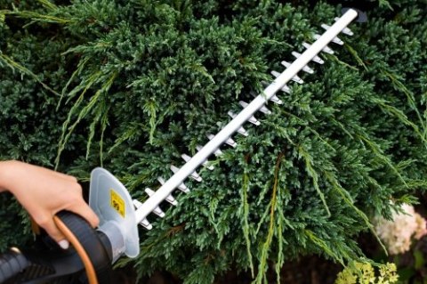 Adler Elektryczne nożyce do żywopłotu | Długość ostrza 61 cm | Ostrza wycinane laserowo | Zestaw z akcesoriami