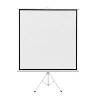 Ekran projekcyjny stojący Cabletech 200x200cm 100"