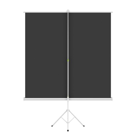 Ekran projekcyjny stojący Cabletech 200x200cm 100"