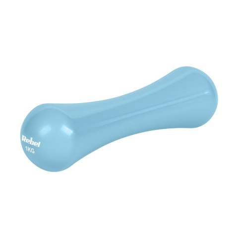 Hantelki żeliwne winylowe 2x1kg, REBEL ACTIVE